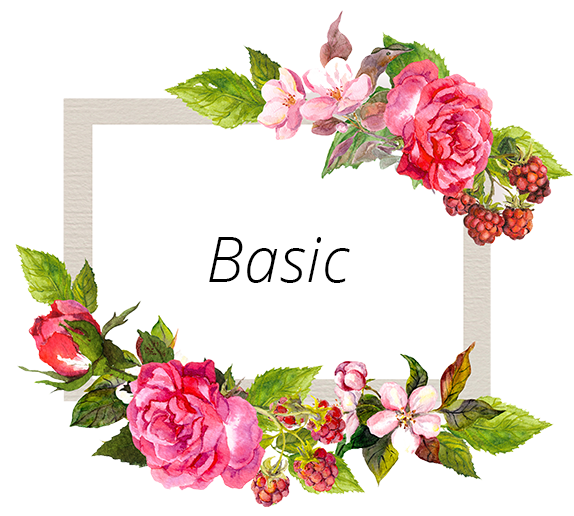 basic